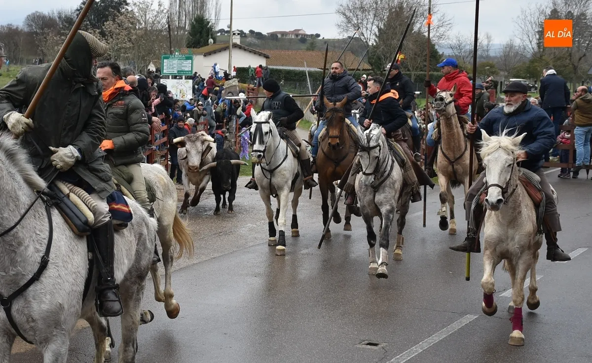 Encierro a Caballo Carnaval del Toro Ciudad Rodrigo