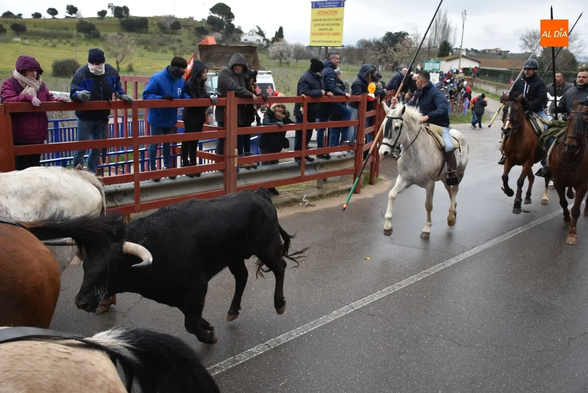 Encierro a Caballo Carnaval del Toro Ciudad Rodrigo
