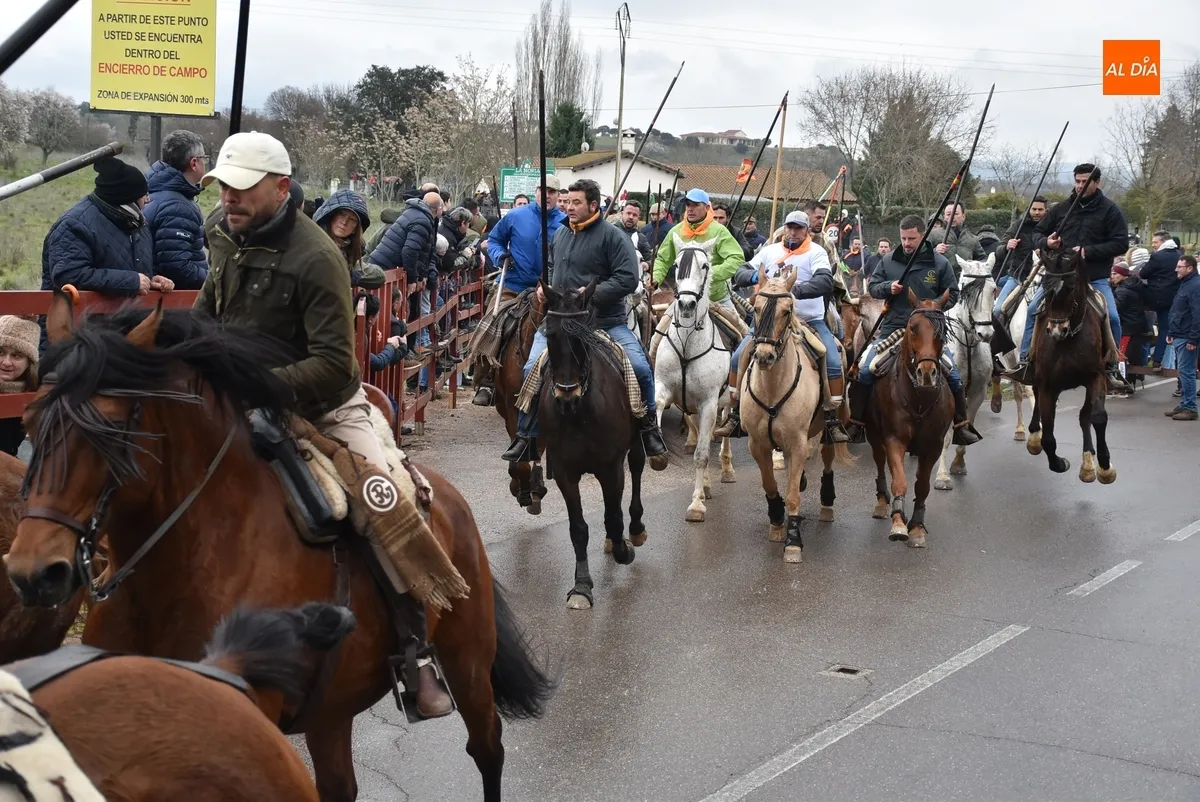 Encierro a Caballo Carnaval del Toro Ciudad Rodrigo