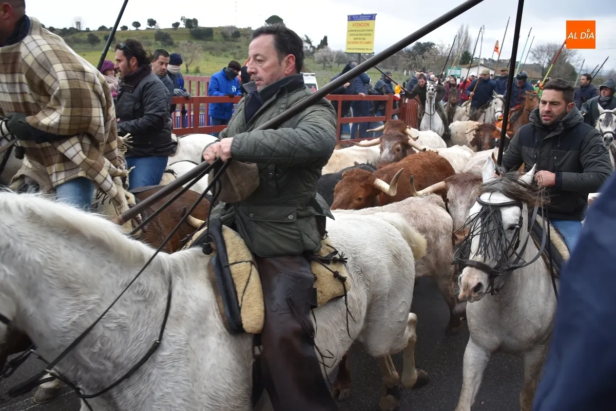 Encierro a Caballo Carnaval del Toro Ciudad Rodrigo