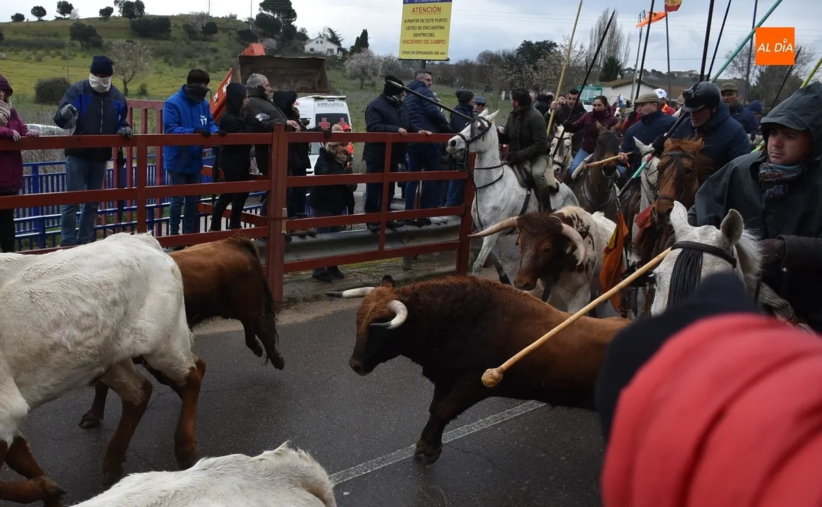Encierro a Caballo Carnaval del Toro Ciudad Rodrigo