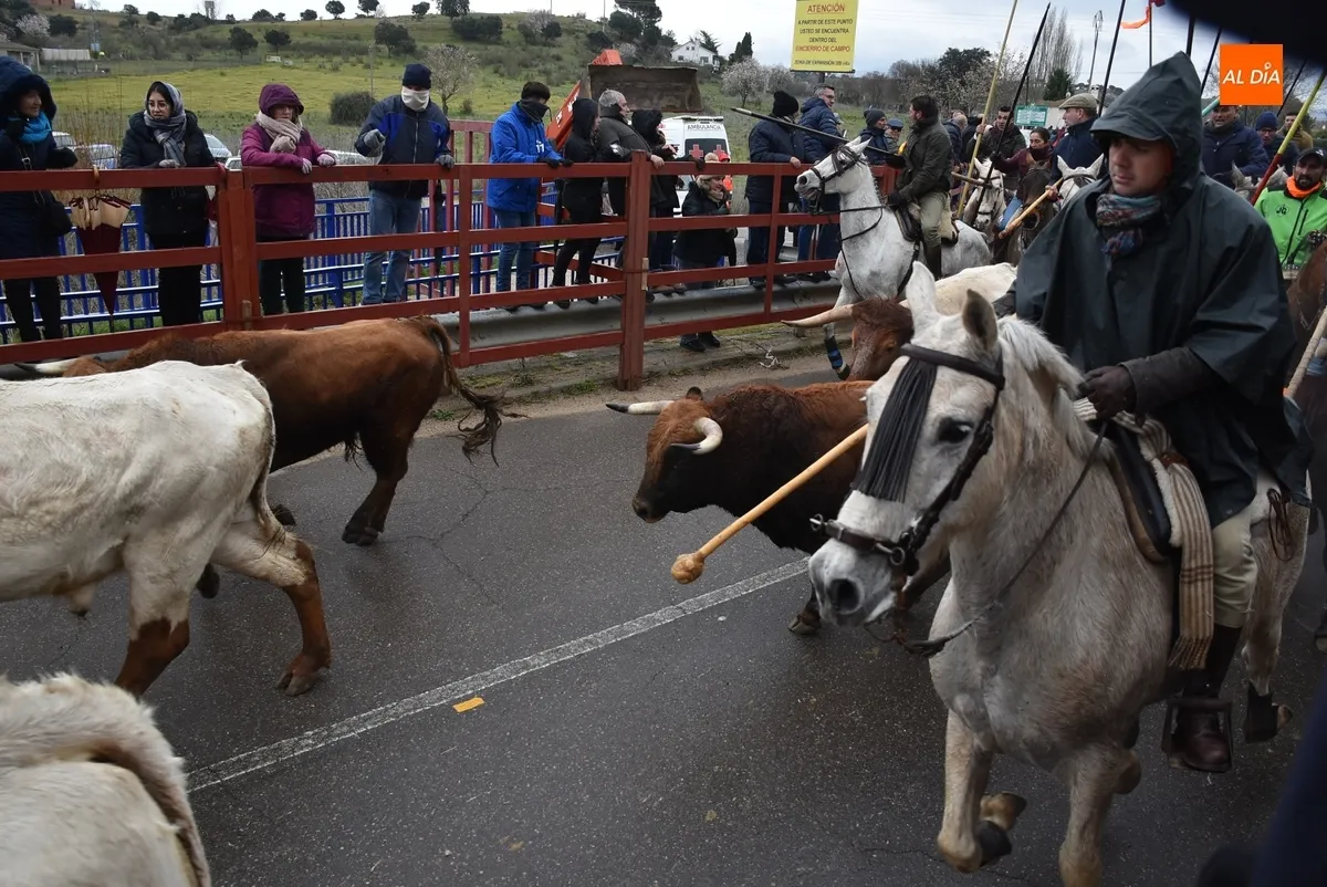 Encierro a Caballo Carnaval del Toro Ciudad Rodrigo