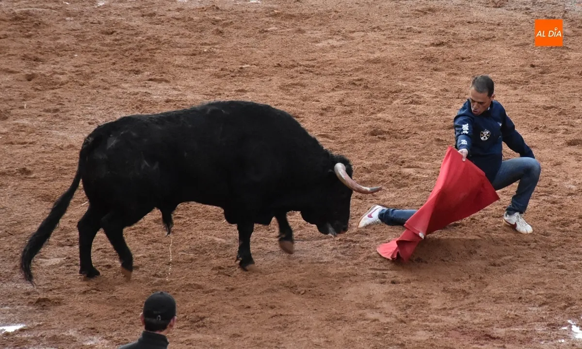 Foto 4 - Dos Torrealba alargan el final de la parte puramente taurina del Carnaval