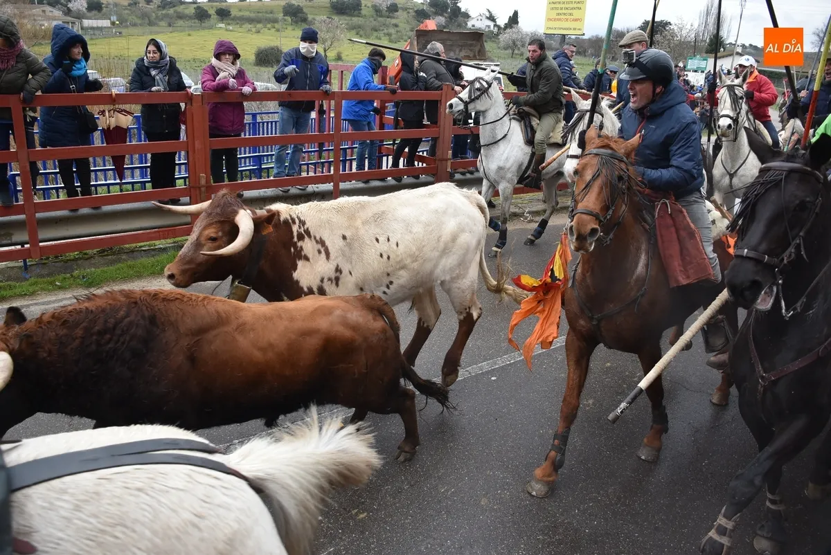 Encierro a Caballo Carnaval del Toro Ciudad Rodrigo
