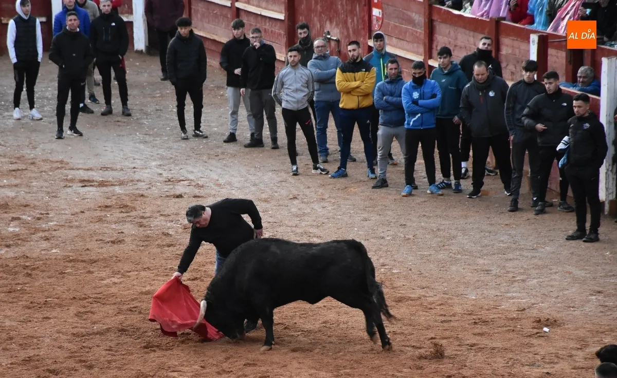 Foto 5 - Dos Torrealba alargan el final de la parte puramente taurina del Carnaval