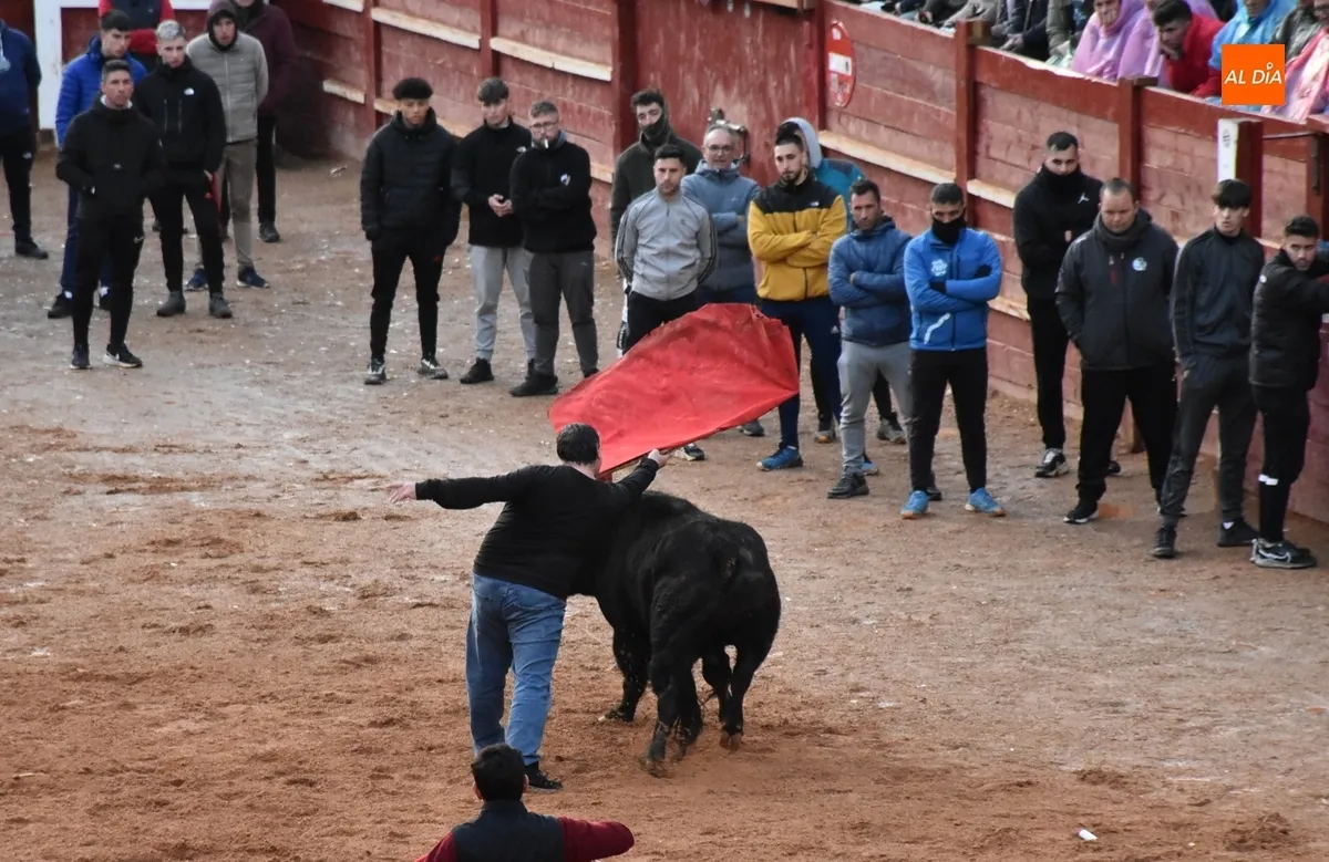 Foto 6 - Dos Torrealba alargan el final de la parte puramente taurina del Carnaval
