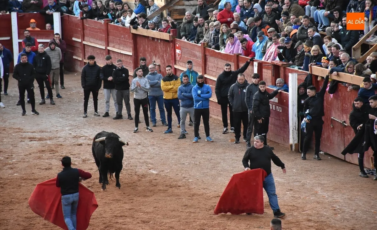 Foto 7 - Dos Torrealba alargan el final de la parte puramente taurina del Carnaval