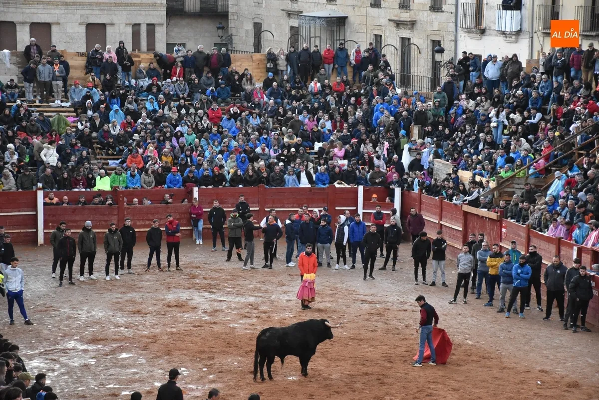 Foto 8 - Dos Torrealba alargan el final de la parte puramente taurina del Carnaval