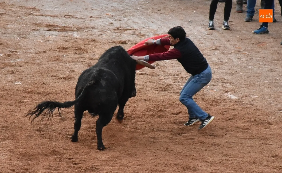 Foto 9 - Dos Torrealba alargan el final de la parte puramente taurina del Carnaval