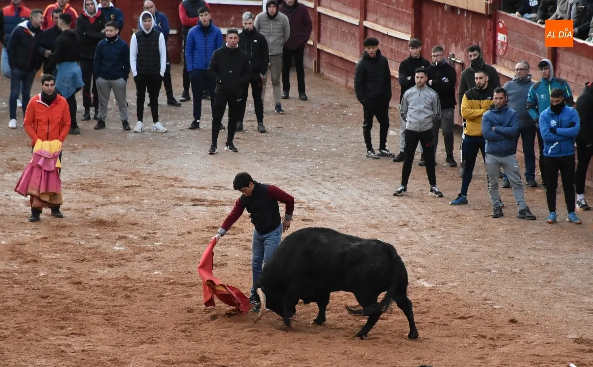 Foto 10 - Dos Torrealba alargan el final de la parte puramente taurina del Carnaval