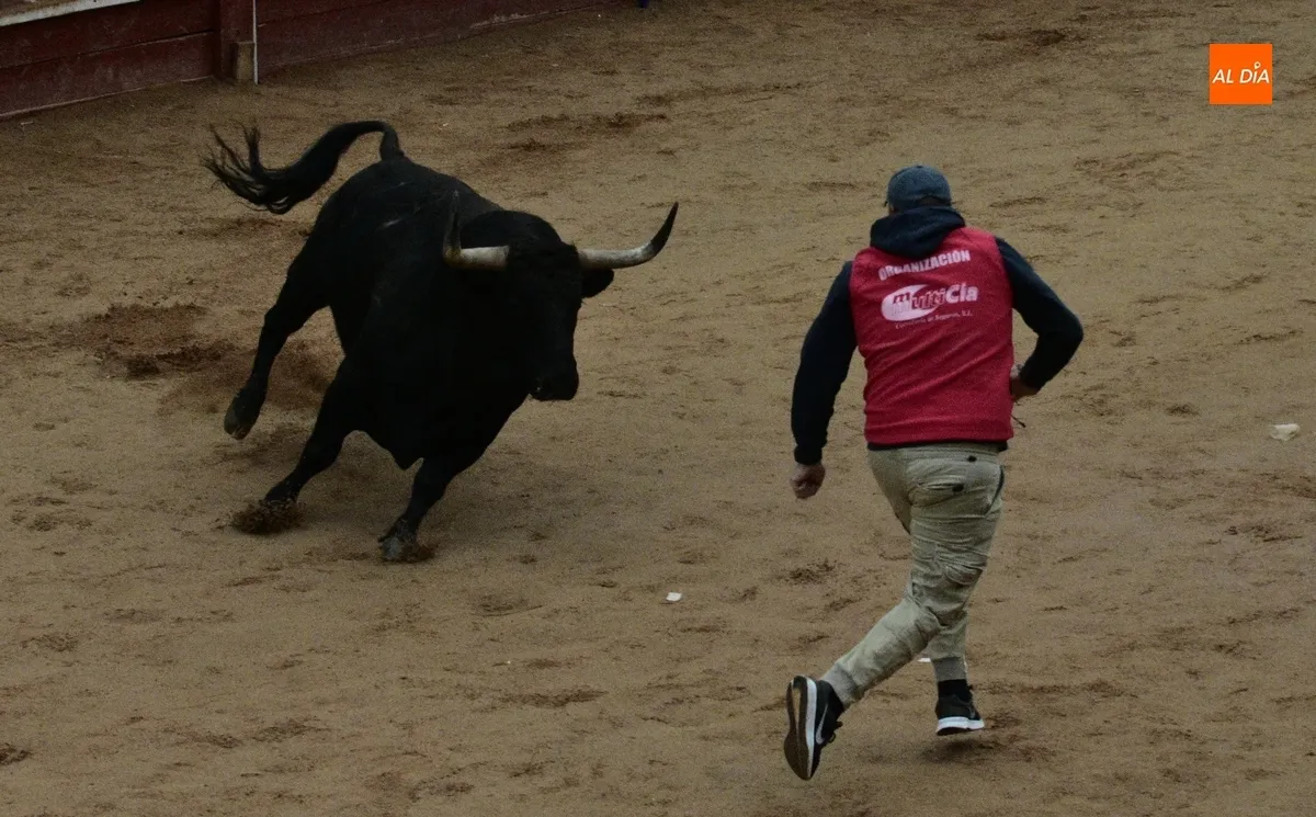 Foto 2 - Poeta ofrece una gran apertura del Martes con querencia por el Registro