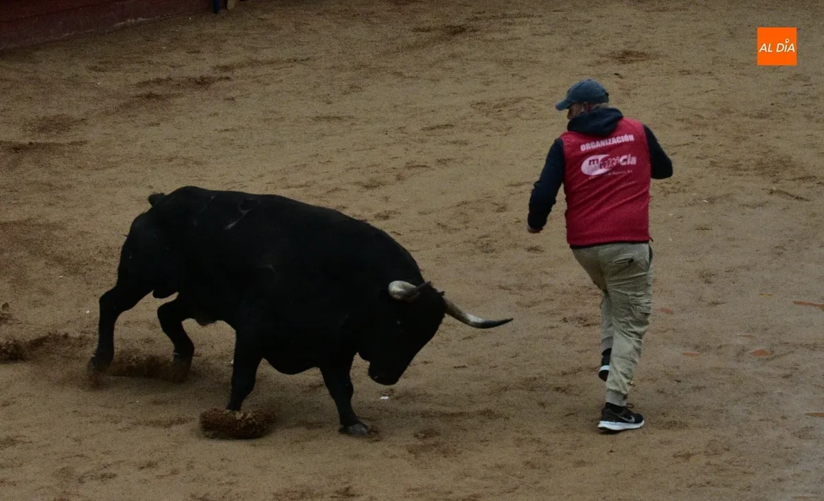 Foto 3 - Poeta ofrece una gran apertura del Martes con querencia por el Registro