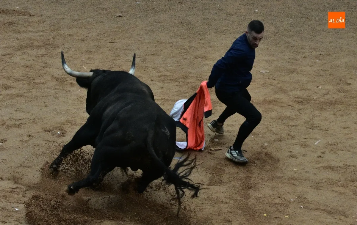 Foto 4 - Poeta ofrece una gran apertura del Martes con querencia por el Registro