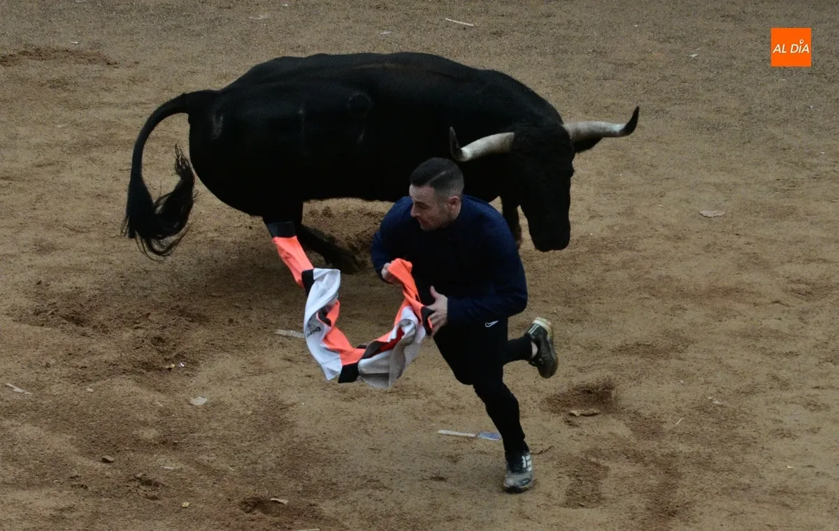 Foto 6 - Poeta ofrece una gran apertura del Martes con querencia por el Registro