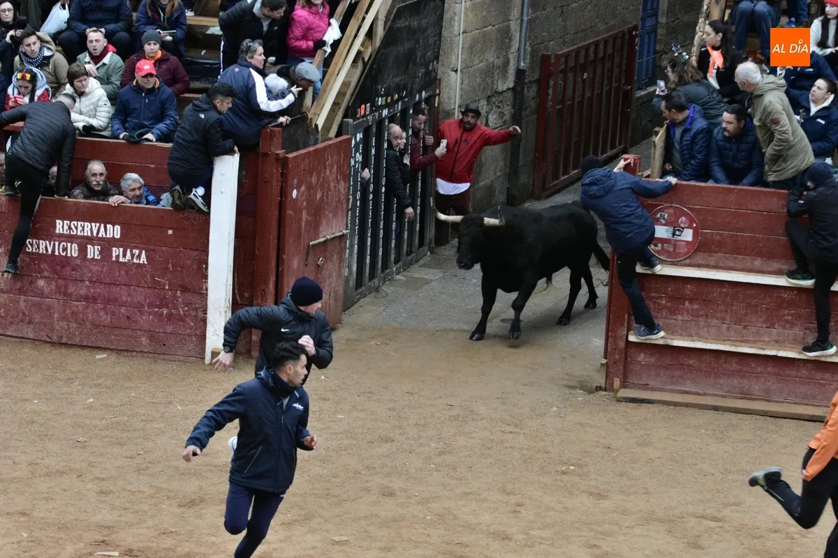 Foto 7 - Poeta ofrece una gran apertura del Martes con querencia por el Registro