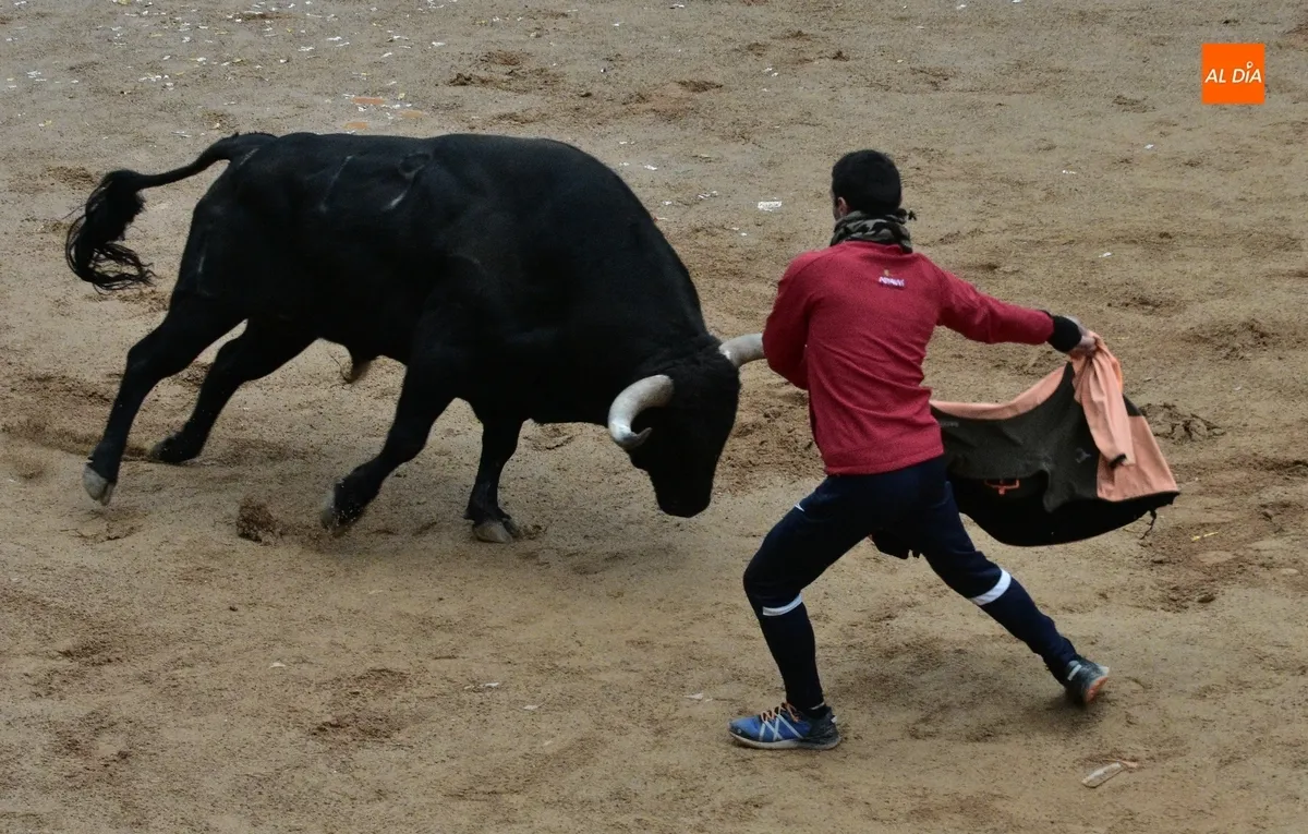 Foto 8 - Poeta ofrece una gran apertura del Martes con querencia por el Registro