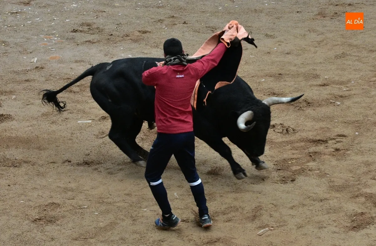 Foto 9 - Poeta ofrece una gran apertura del Martes con querencia por el Registro