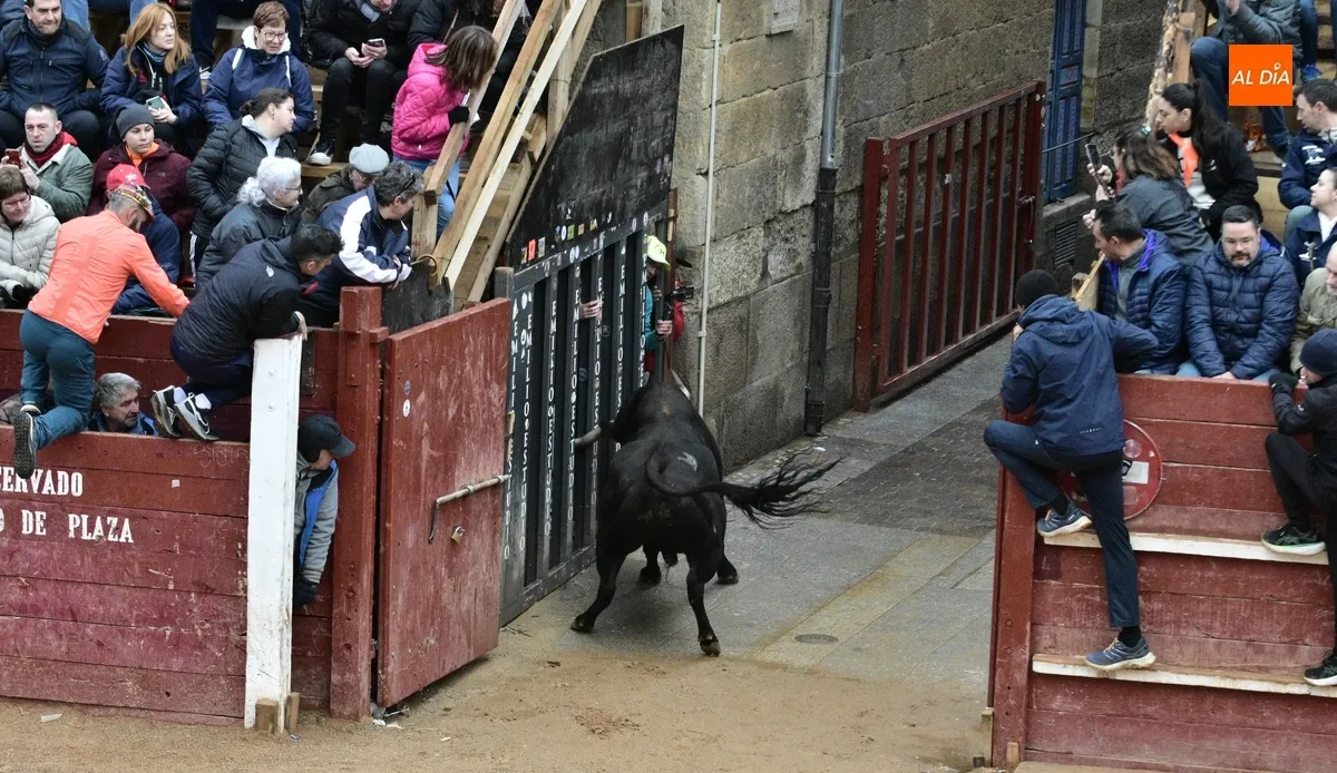 Foto 10 - Poeta ofrece una gran apertura del Martes con querencia por el Registro
