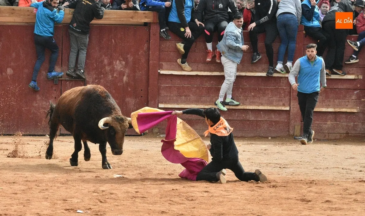 Foto 3 - Dram&aacute;tica capea matinal con tres corneados en apenas 30 minutos