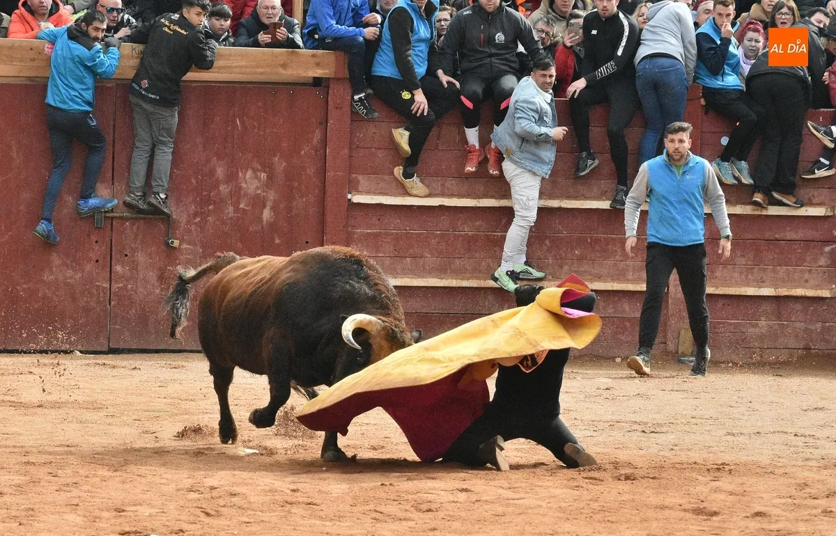 Foto 4 - Dram&aacute;tica capea matinal con tres corneados en apenas 30 minutos