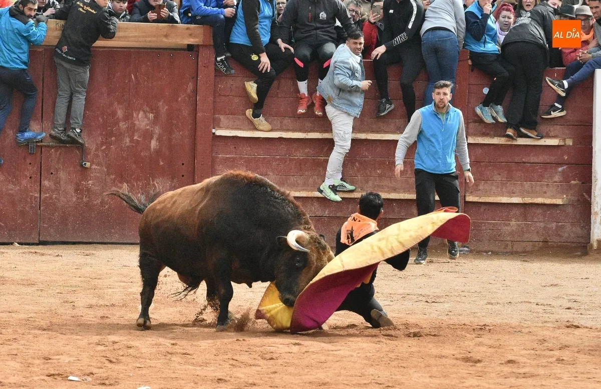 Foto 5 - Dram&aacute;tica capea matinal con tres corneados en apenas 30 minutos