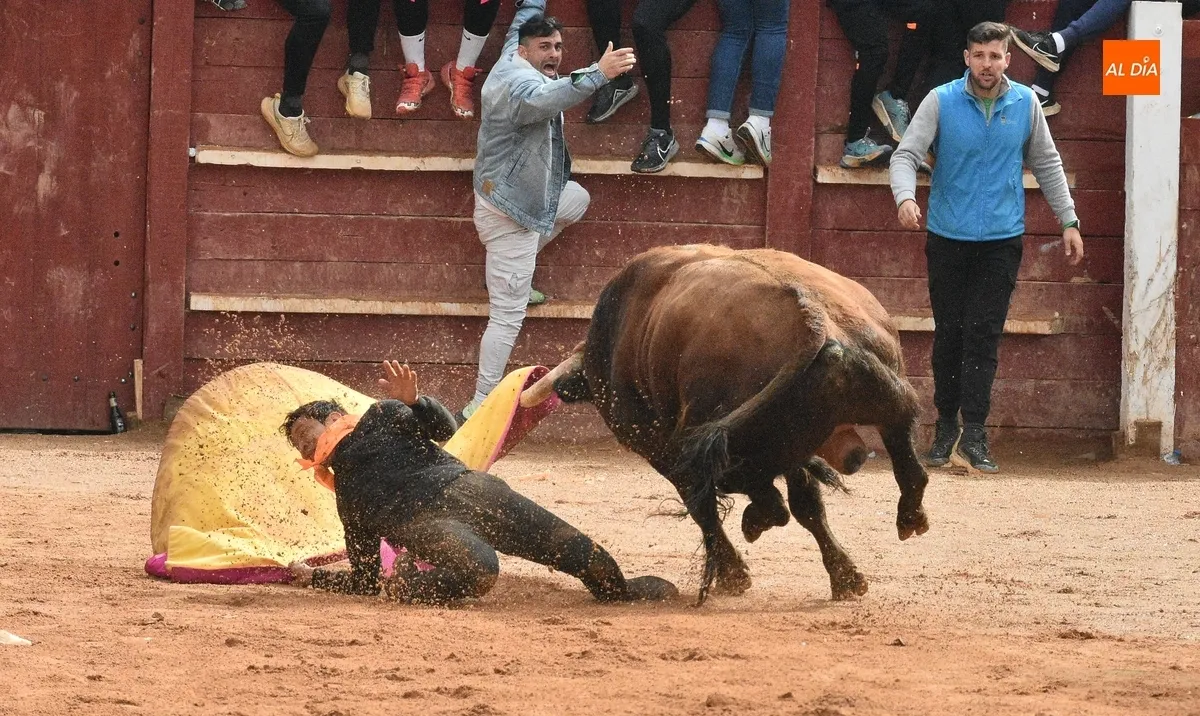 Foto 8 - Dram&aacute;tica capea matinal con tres corneados en apenas 30 minutos