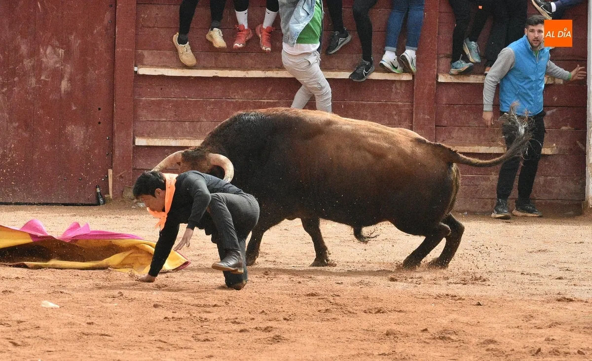 Foto 9 - Dram&aacute;tica capea matinal con tres corneados en apenas 30 minutos