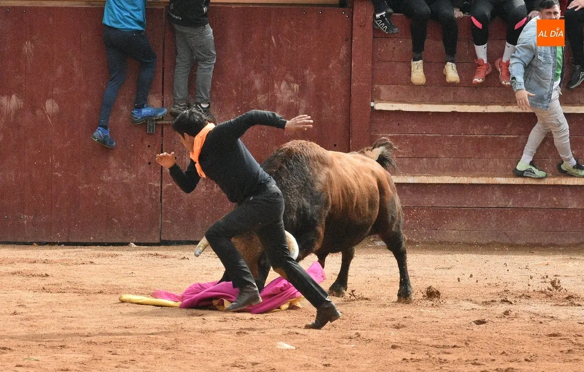 Foto 10 - Dram&aacute;tica capea matinal con tres corneados en apenas 30 minutos