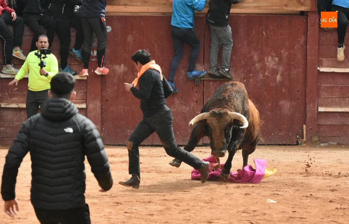 Foto 11 - Dram&aacute;tica capea matinal con tres corneados en apenas 30 minutos