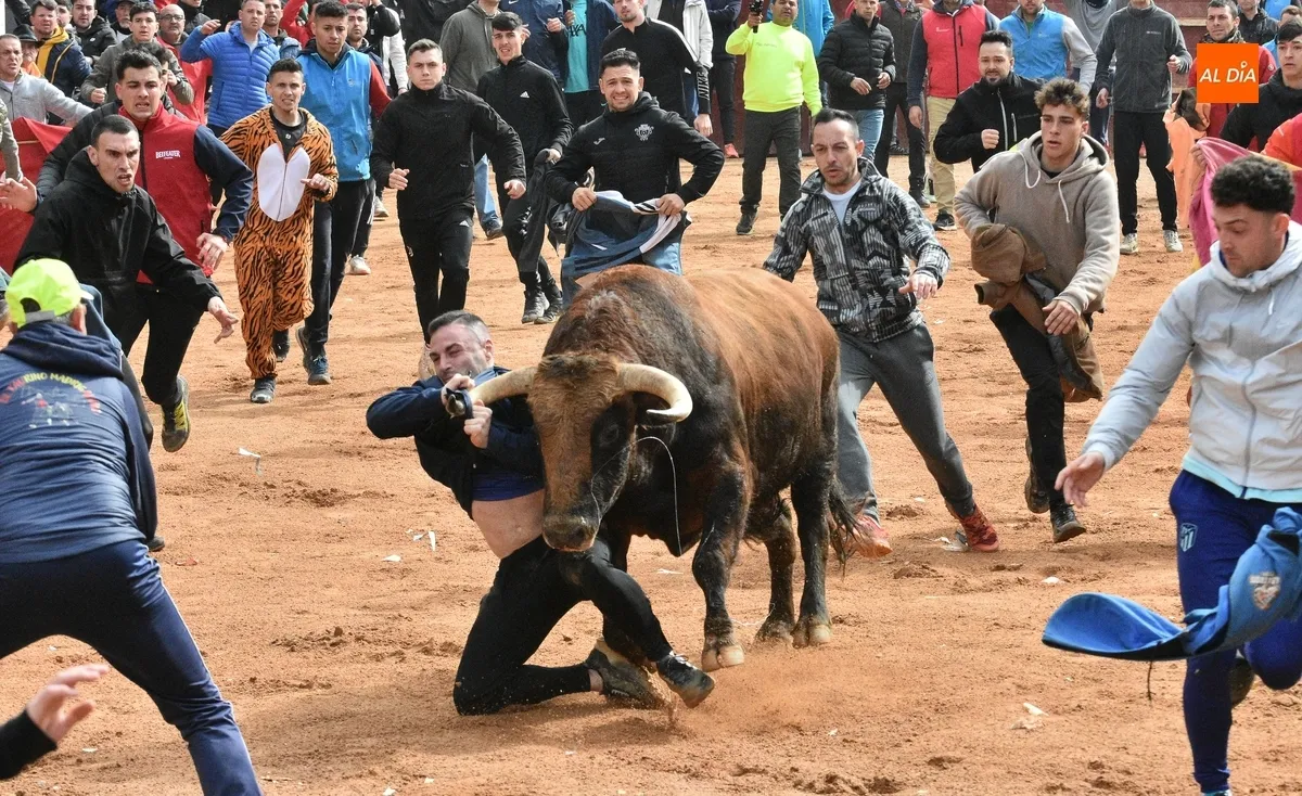 Foto 2 - Dram&aacute;tica capea matinal con tres corneados en apenas 30 minutos