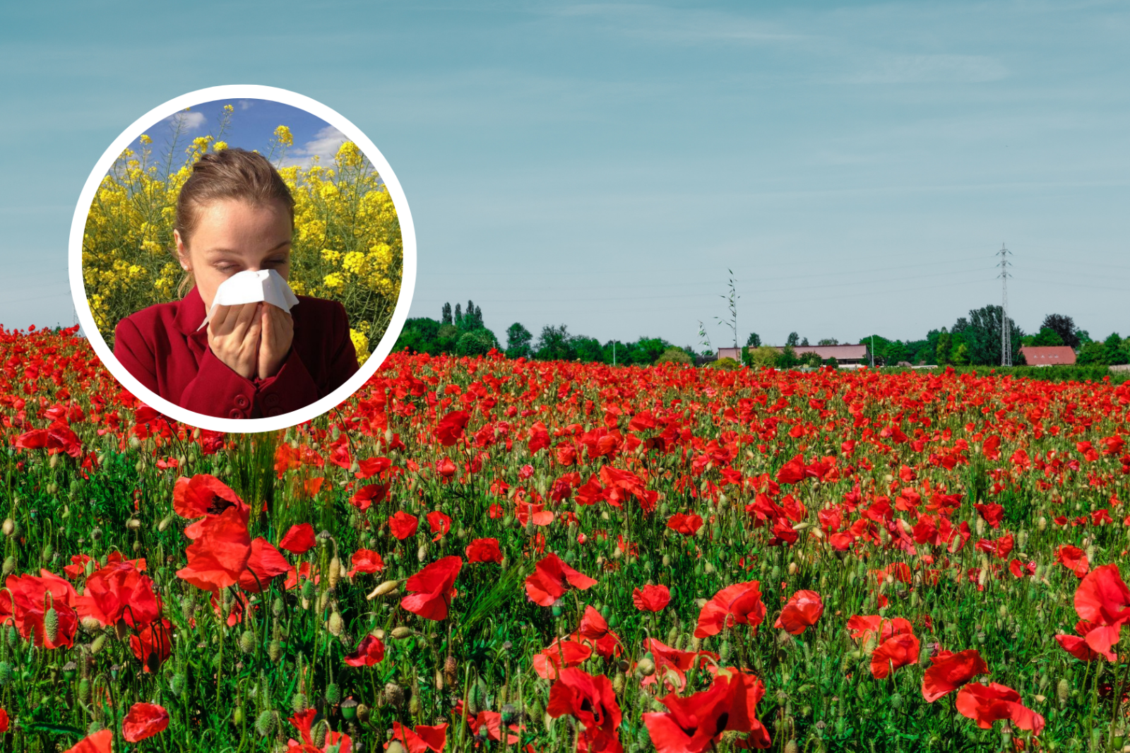 Así será la primavera en Salamanca