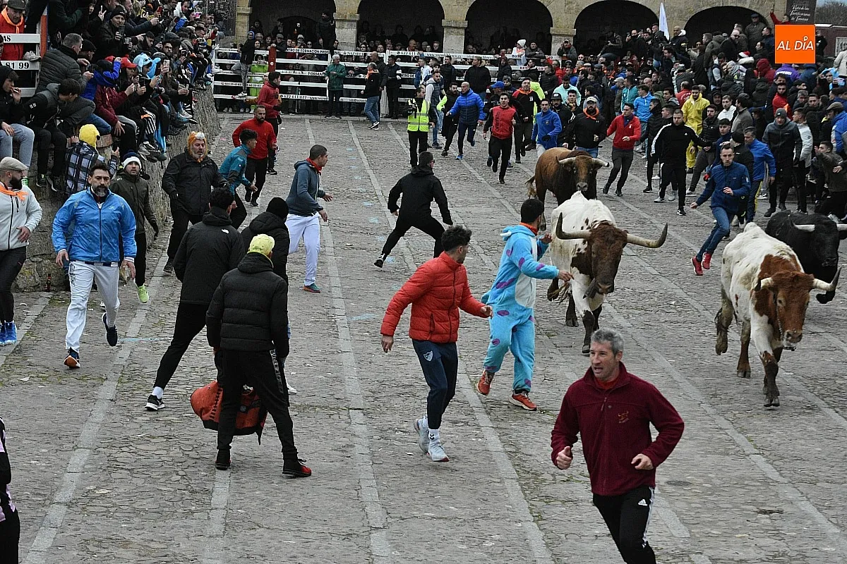 Encierro mañana sábado Carnaval/ Fotos: Javier Antúnez- Adrián M.Pastor