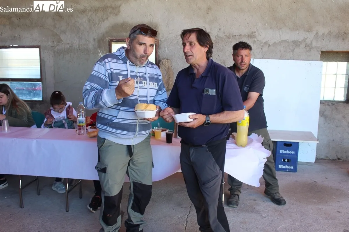 Herradero en la finca municipal de Rollanejo, en El Cubo de Don Sancho  