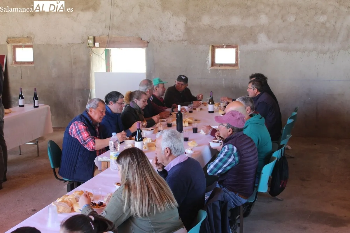 Herradero en la finca municipal de Rollanejo, en El Cubo de Don Sancho  