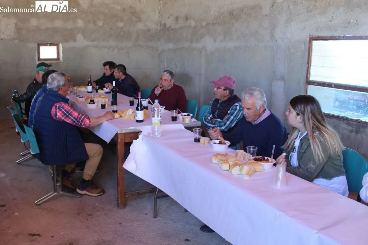 Herradero en la finca municipal de Rollanejo, en El Cubo de Don Sancho  