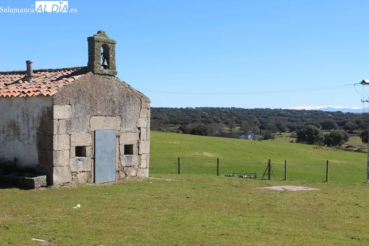 Herradero en la finca municipal de Rollanejo, en El Cubo de Don Sancho  