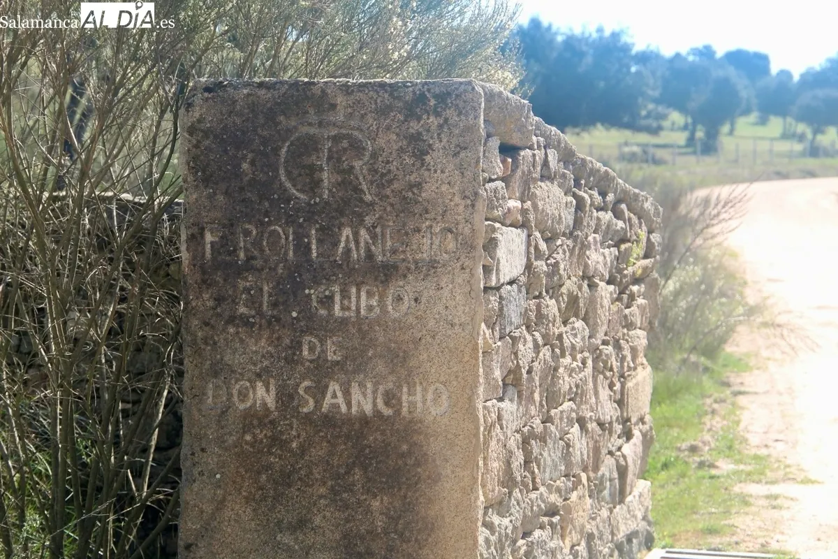 Herradero en la finca municipal de Rollanejo, en El Cubo de Don Sancho  