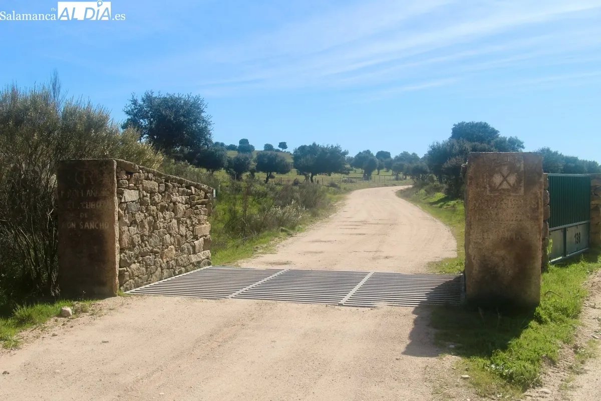 Herradero en la finca municipal de Rollanejo, en El Cubo de Don Sancho  