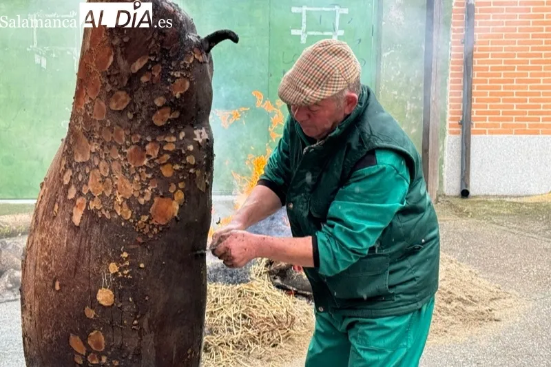 VIII Matanza Tradicional de Macotera