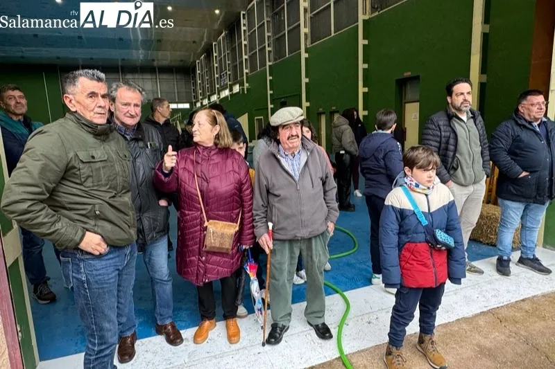 VIII Matanza Tradicional de Macotera