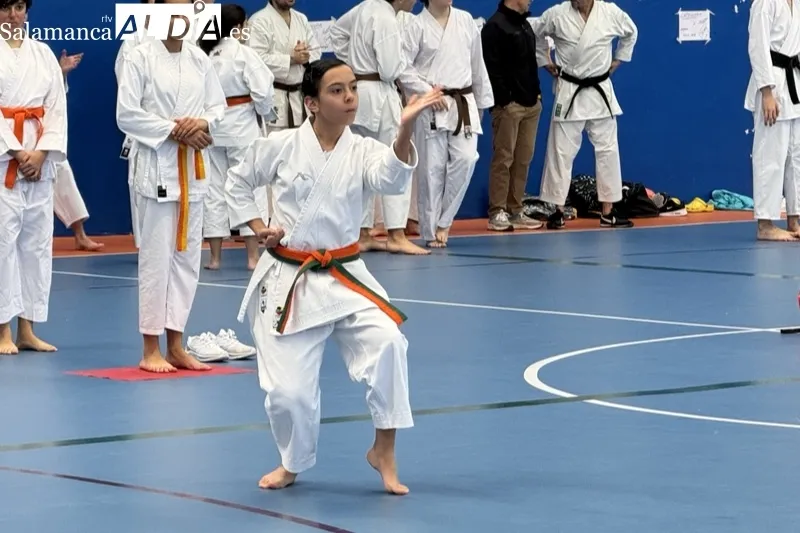 Foto 6 - M&aacute;s de 150 peque&ntilde;os y j&oacute;venes participan en el esperado III Open de K&aacute;rate Ciudad de Pe&ntilde;aranda