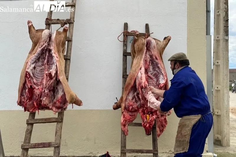 X Matanza Típica en Aldeaseca de la Frontera