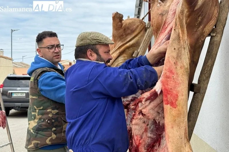 X Matanza Típica en Aldeaseca de la Frontera