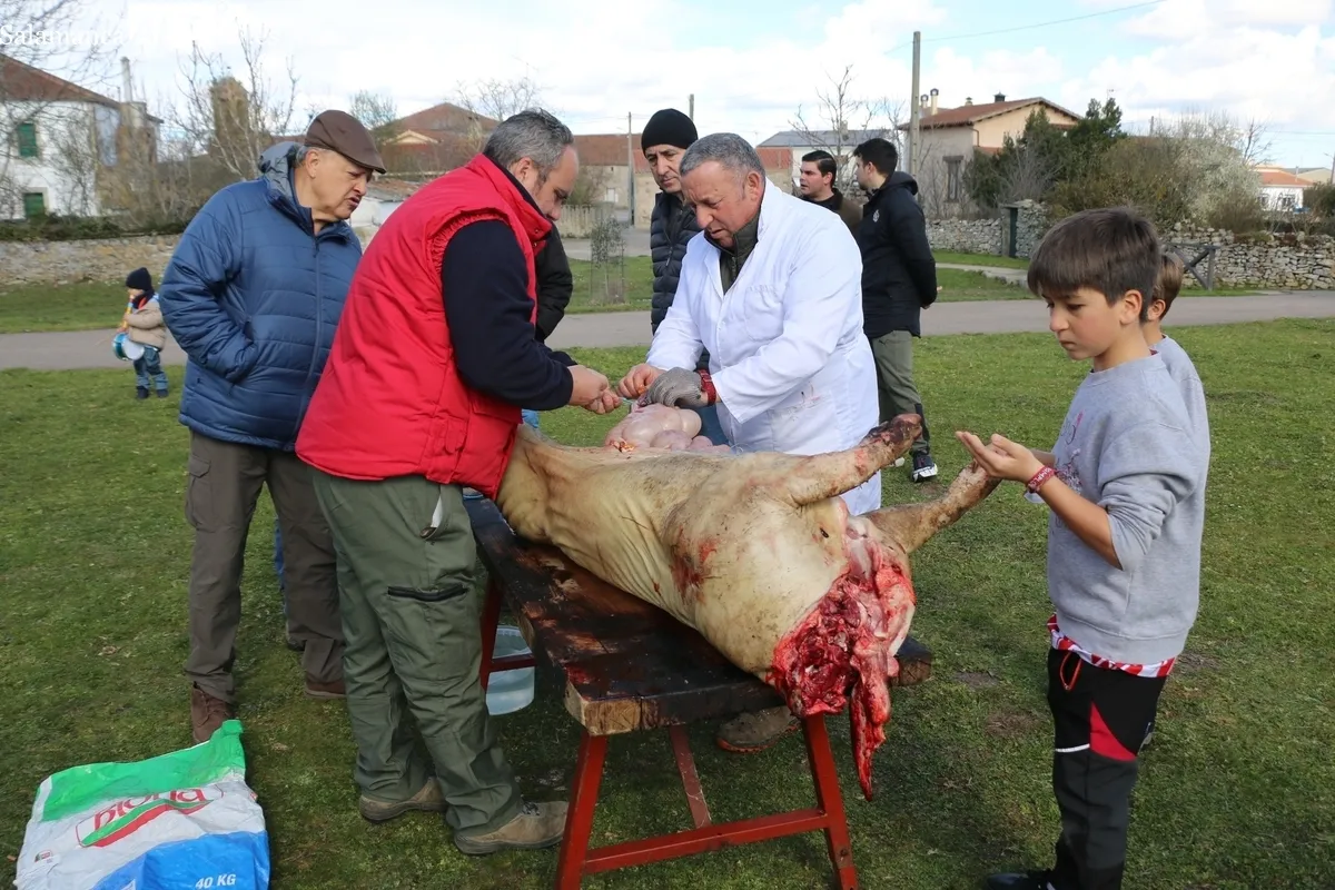 Fiesta de la Matanza Tradicional en Villar de Peralonso / CORRAL