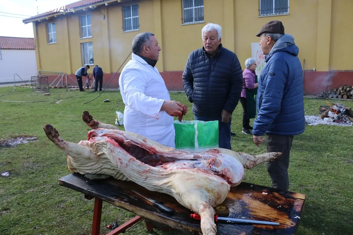 Fiesta de la Matanza Tradicional en Villar de Peralonso / CORRAL