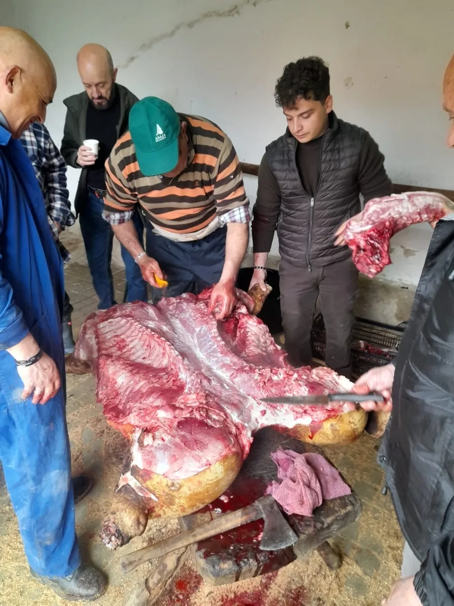 Matanza tradicional en Peralejos de Abajo