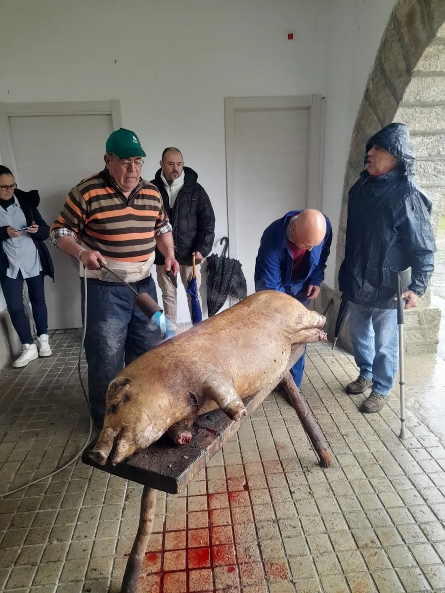 Matanza tradicional en Peralejos de Abajo