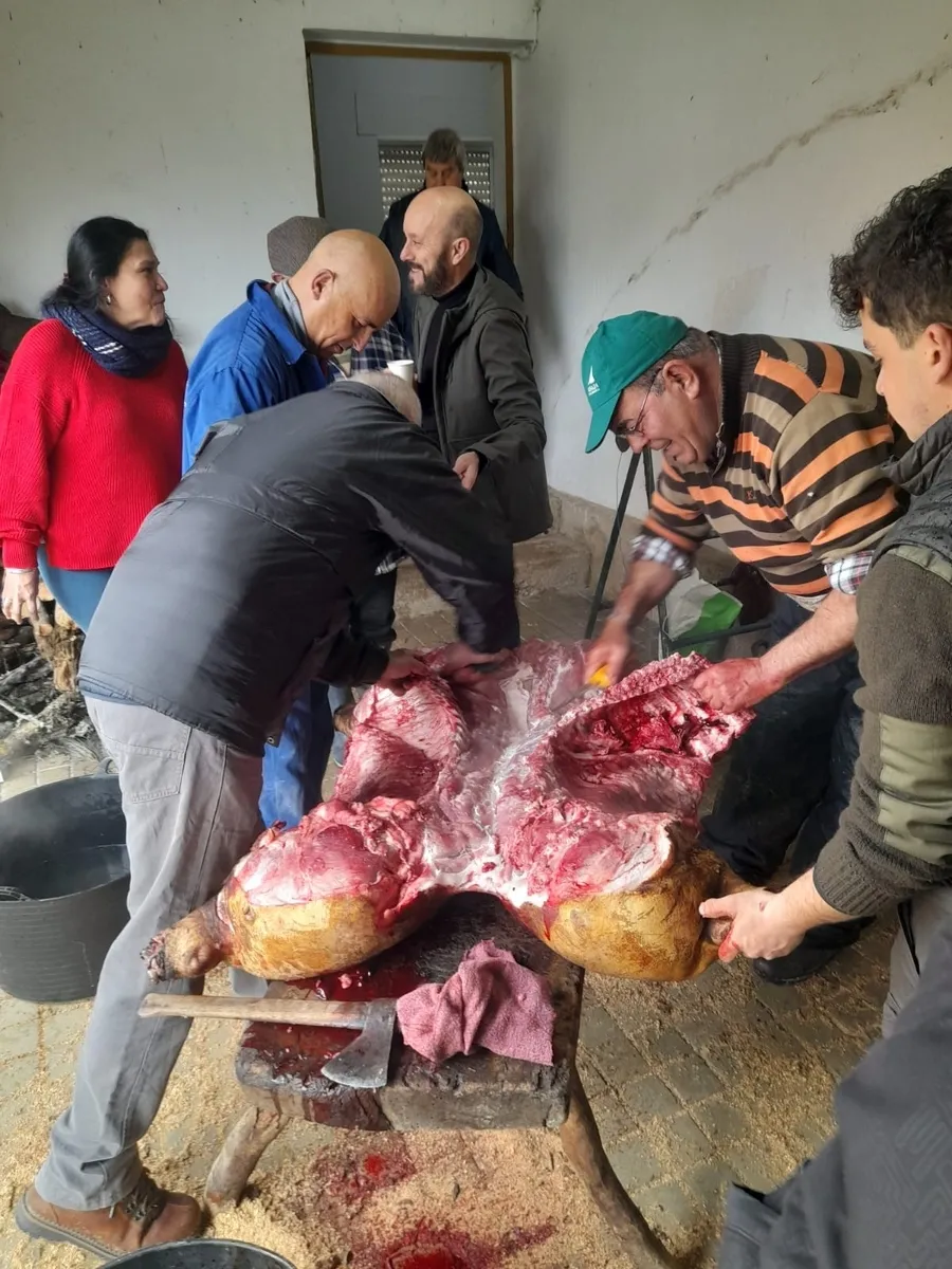 Matanza tradicional en Peralejos de Abajo