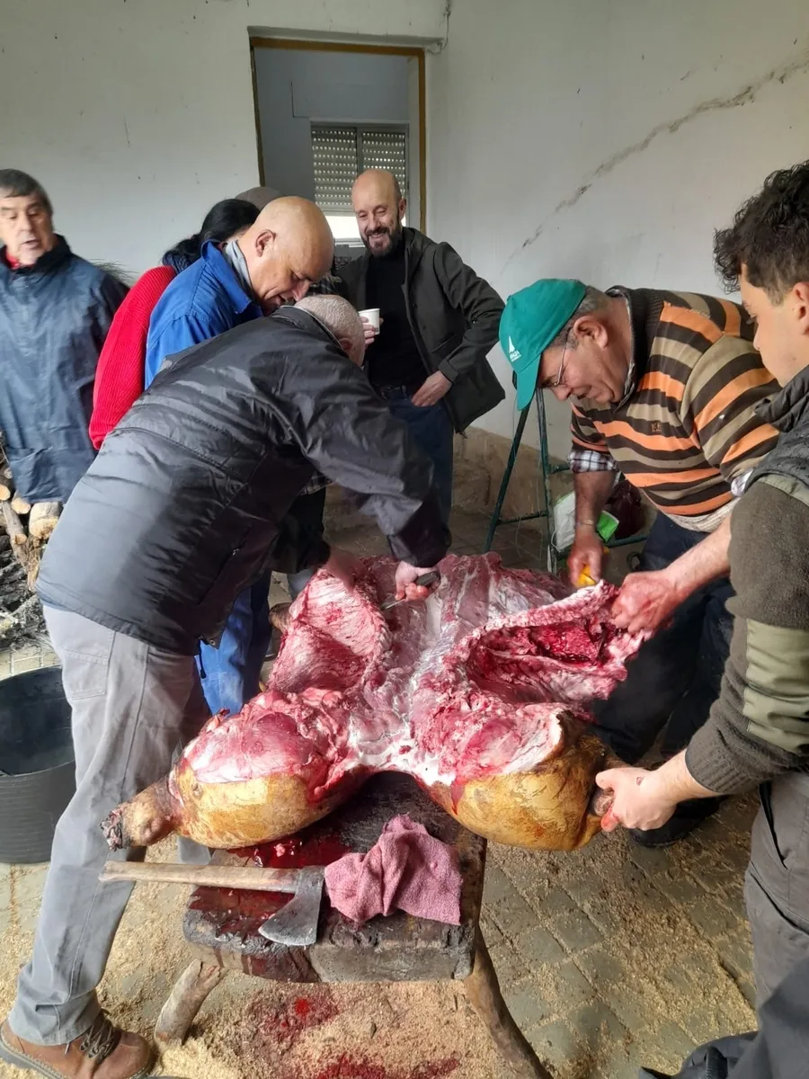Matanza tradicional en Peralejos de Abajo