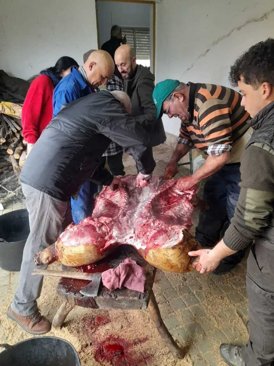 Matanza tradicional en Peralejos de Abajo